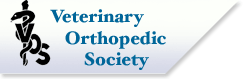 VOS logo